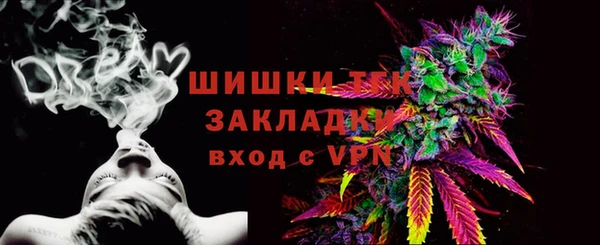 шишки Беломорск