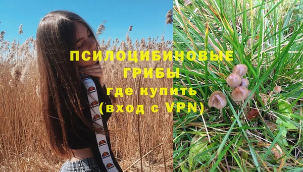первитин Белоозёрский
