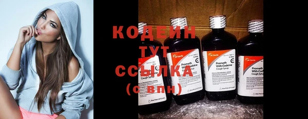 шишки Беломорск