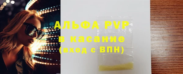 шишки Беломорск