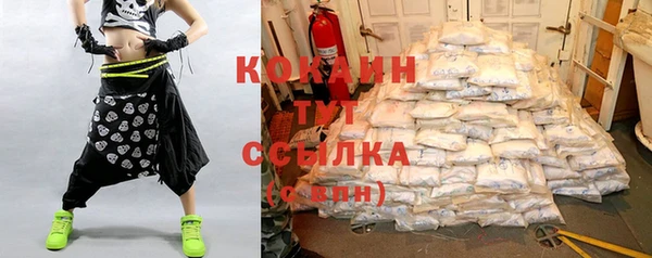 шишки Беломорск