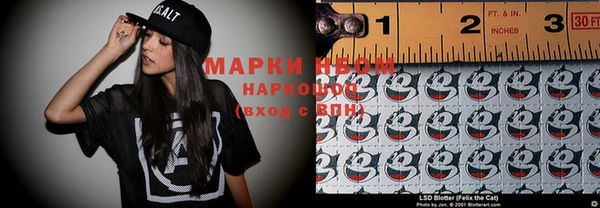 шишки Беломорск