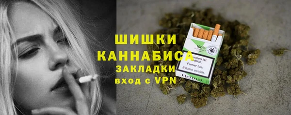 шишки Беломорск